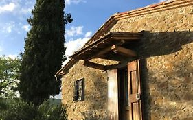 Podere Pruneto